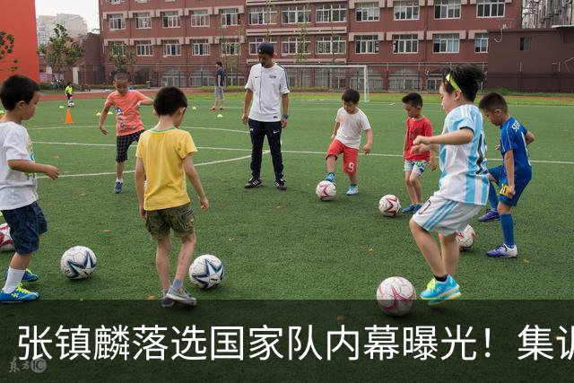 张镇麟落选国家队内幕曝光！集训前夕请假了：郭士强没有放弃他？